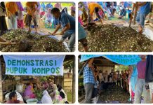 Mahasiswa Beri Penyuluhan Pembuatan Pupuk Bokashi