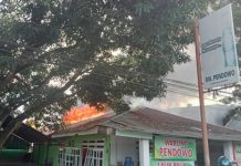 Si Jago Merah Lahap Warung Makan Pendowo di Kendari