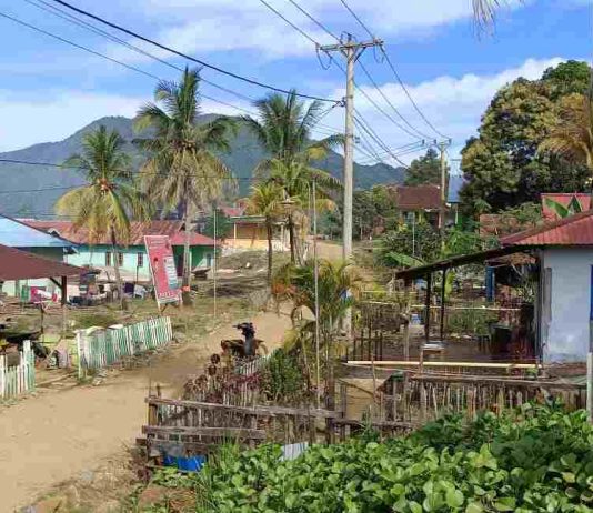 Cerita Warga Waturambaha yang Dipindahkan Pemerintah ke Dalam Kawasan Hutan