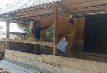 Bawaslu Buton Tertibkan APK yang Langgar Aturan