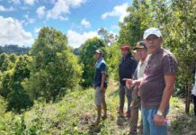 Bupati Butur Dukung Produktivitas Pertanian Masyarakat