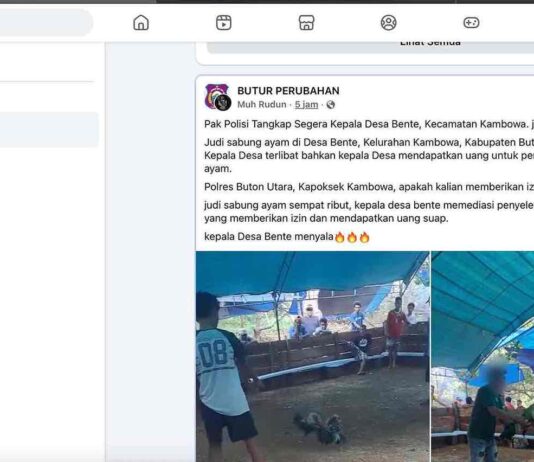 Video Diduga Judi Sabung Ayam Beredar di Media Sosial, Warga Minta Aparat Usut Tuntas Aktivitas di Desa Bente