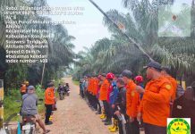 Dua Mahasiswa Geologi Tersesat di Hutan Sambasule, Tim SAR Kendari Lakukan Pencarian Intensif