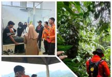 News Update: Dua Mahasiswa Geologi UHO Ditemukan Selamat di Hutan Meluhu, Operasi SAR Resmi Ditutup