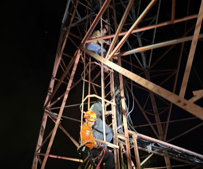 WhatsApp Image 2026-04-12 at 19.56.10