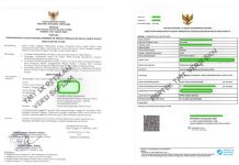 Di Buton Utara TMT SK Petikan PPPK Paruh Waktu Tidak Sesuai TMT Pertek BKN