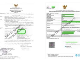 Di Buton Utara TMT SK Petikan PPPK Paruh Waktu Tidak Sesuai TMT Pertek BKN
