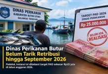 Target Retribusi Rp25 Juta, Dinas Perikanan Butur Belum Tarik PAD hingga September 2026